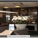orchideeen in zilver river ovaal